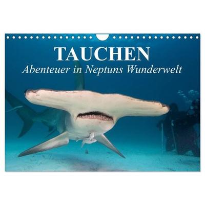 Tauchen - Abenteuer in Neptuns Wunderwelt (Wandkalender 2026 DIN A4 quer), CALVENDO Monatskalender