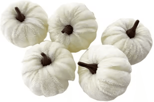 Inspire Curations 5PCS Artificial Pumpkin Set Halloween Pumpkins Foam Tabletop Decorations For Home & Party Decor white