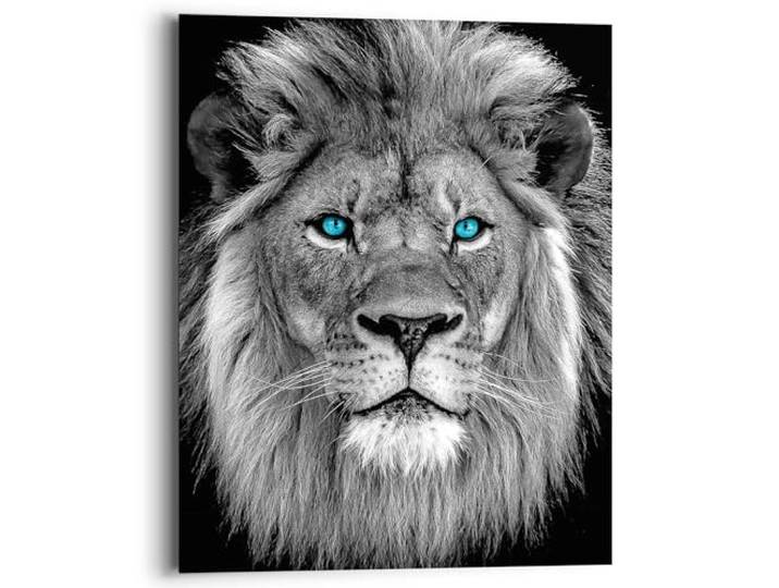 REINDERS Wandbild, Löwe mit blaue Augen, Teenager Zimmer, Bilder, Wanddeko, Room Decor, MDF, Schwarz-Weiß, 50 x 40
