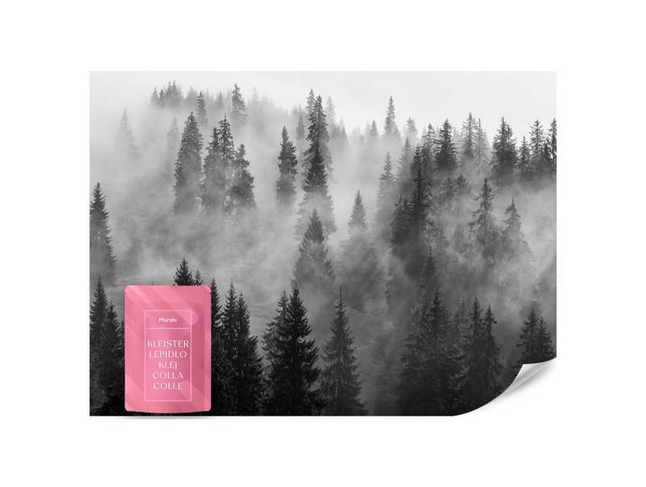 FOTOTAPETE Schwarz-weißer Wald im Nebel Natur 200x140