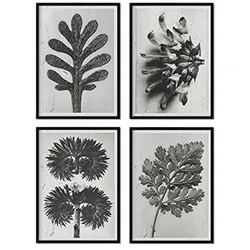 POSTER Set mit 4 von Blättern Blumen und Pflanzen in Grausteinen A3 Schwarzer Rahmen