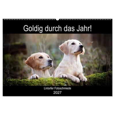 Goldig durch das Jahr! (Wandkalender 2027 DIN A2 quer), CALVENDO Monatskalender