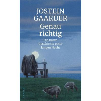 Genau richtig, Gebundene Ausgabe von Jostein Gaarder, Carl Hanser, 978-3-446-26367-3