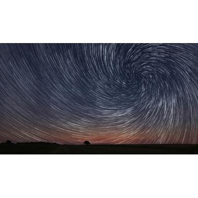 Fototapete PAPERMOON "GEWUNDENER STERN-BAUM HIMMEL ABSTRAKT MUSTER FANTASIE", bunt, B:4m L:2,6m, Vlies, Tapeten