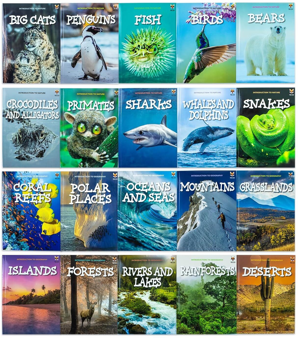 Fox Eye Publishing Introduction to Nature and Geography 20 Books Collection Box Set – Educational Learning Collection for Kids
