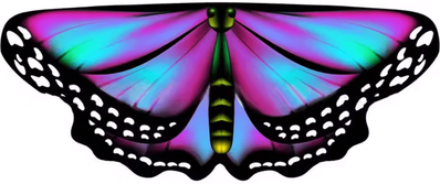 Inspire Curations Kids Butterfly Wings Fairy Cape Butterfly Wings Costume Colorful Fairy Dress Up Cape For Girls 4