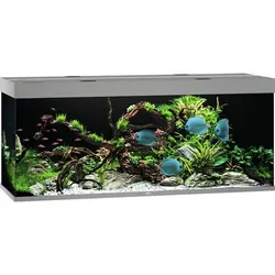JUWEL Rio 450 LED Aquarium Set grau