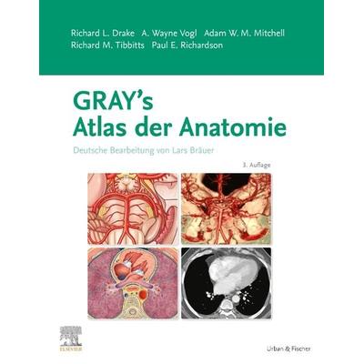 Gray's Atlas der Anatomie, Taschenbuch von Richard L. Drake,Wayne A. Vogl,Adam W.M. Mitchell, Urban & Fischer in Elsevier, 978-3-437-44702-0