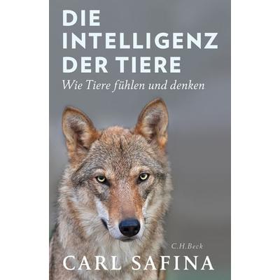 Die Intelligenz der Tiere, Gebundene Ausgabe von Carl Safina, C.H. Beck, 978-3-406-70790-2