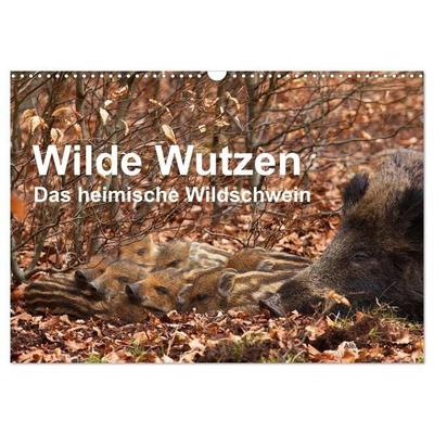 Wilde Wutzen. Das heimische Wildschwein (Wandkalender 2027 DIN A3 quer), CALVENDO Monatskalender