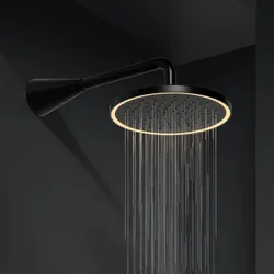 Steinberg Serie 310 Kopfbrause matt black mit LED-Beleuchtung, 310 1686 S 310 1686 S