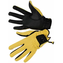TdeT, Reithandschuhe, (6)