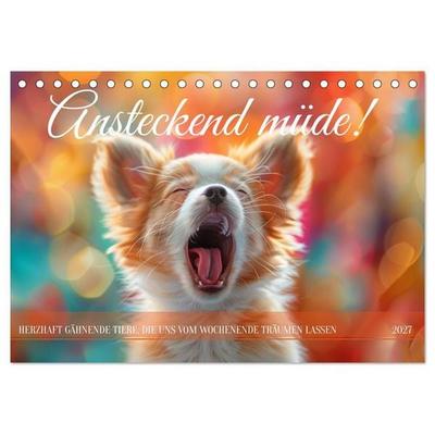 Ansteckend müde! (Tischkalender 2027 DIN A5 quer), CALVENDO Monatskalender