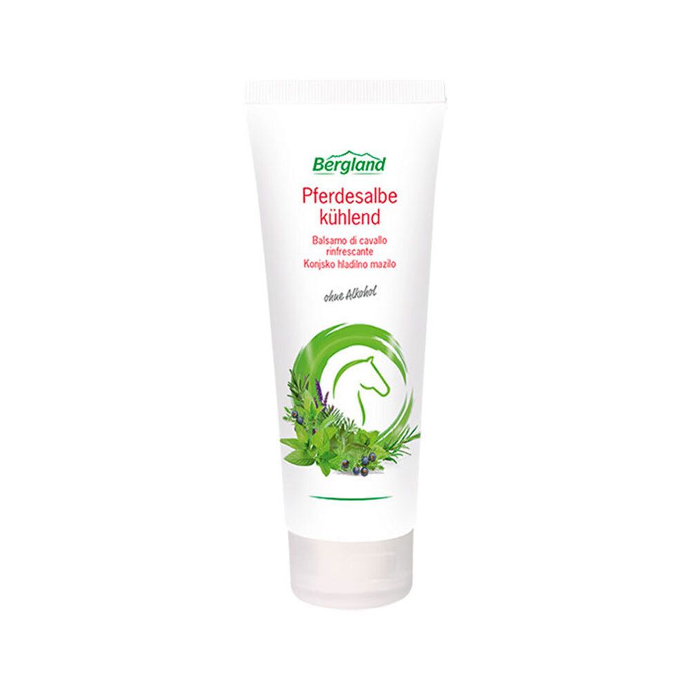 Pferdesalbe kühlend 100 ml Salbe