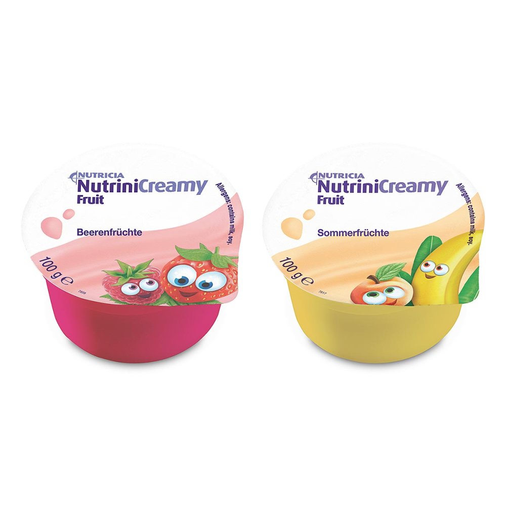 Danone Deutschland GmbH Nutrini Creamy Fruit Mischkarton 11653544