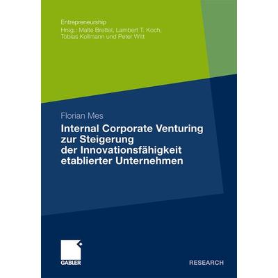 Internal Corporate Venturing zur Steigerung der Innovationsfähigkeit etablierter Unternehmen, Taschenbuch von Florian Mes, Betriebswirtschaftlicher