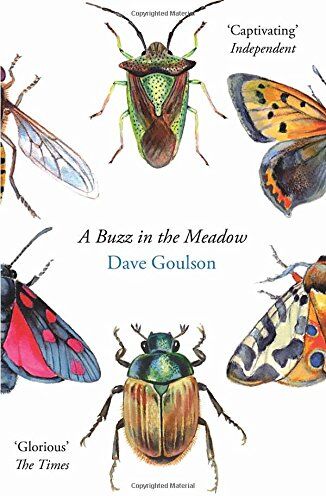 Dave Goulson - A Buzz in the Meadow - Preis vom 19.10.2026 19:33:35 h