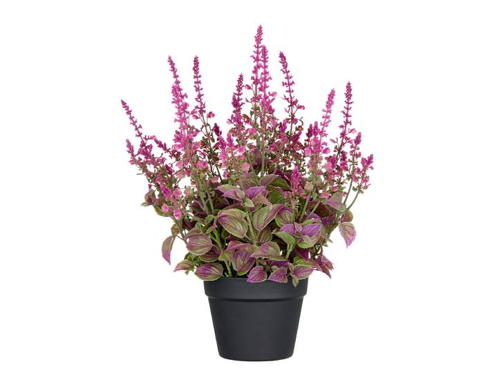 Salvia Superba artificielle type A 35 x 50 x 35cm Rose foncé
