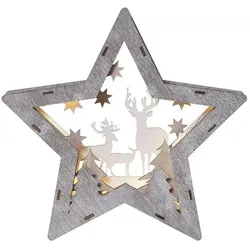 Star Trading, Weihnachtsbeleuchtung, Fauna Stern