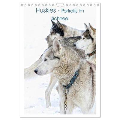 Huskies - Portraits im Schnee (Wandkalender 2027 DIN A4 hoch), CALVENDO Monatskalender