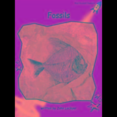Fossils, Taschenbuch von John Lockyer, Flying Start Books Ltd, 978-1-877435-23-2