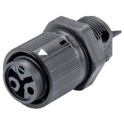 Wieland Electric 46.031.5054.1 Geräteanschluss