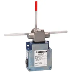 Telemechanique Sensors Positionsschalter XCKMR54D2H29