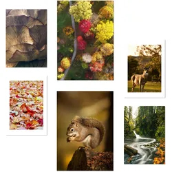 POSTER Set Mit 6 Kanadischer Herbst Rot Gelb & Braun A3 & A4 Rahmenlos