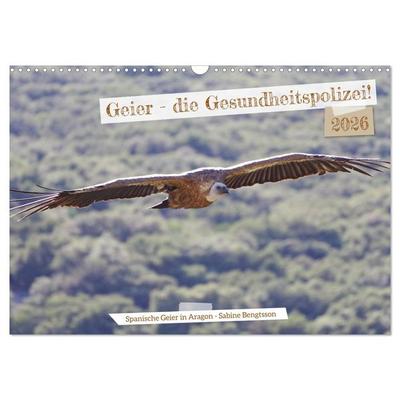 Geier - die Gesundheitspolizei! (Wandkalender 2026 DIN A3 quer), CALVENDO Monatskalender