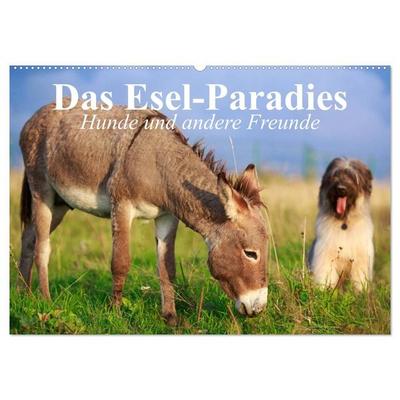Das Esel-Paradies - Hunde und andere Feunde (Wandkalender 2027 DIN A2 quer), CALVENDO Monatskalender