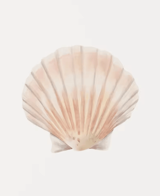 Inspire Curations Watercolor Seashell & Starfish Canvas Wall Art Set Coastal Ocean Home Decor 4 1pc 20x30cm No Frame