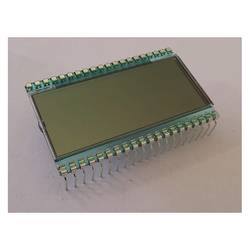 Display Elektronik LCD-Display DE152RS-20/7.5 DE152-RS-20/7,5