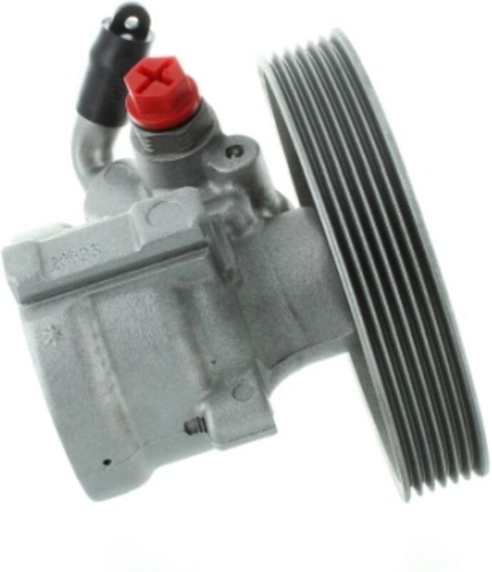 Hydraulische Lenkgetriebepumpe SPIDAN 52911