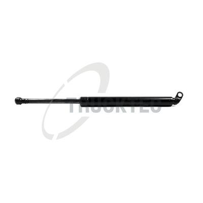 TRUCKTEC AUTOMOTIVE Gasfeder, Koffer-/Laderaum 0862013 für BMW