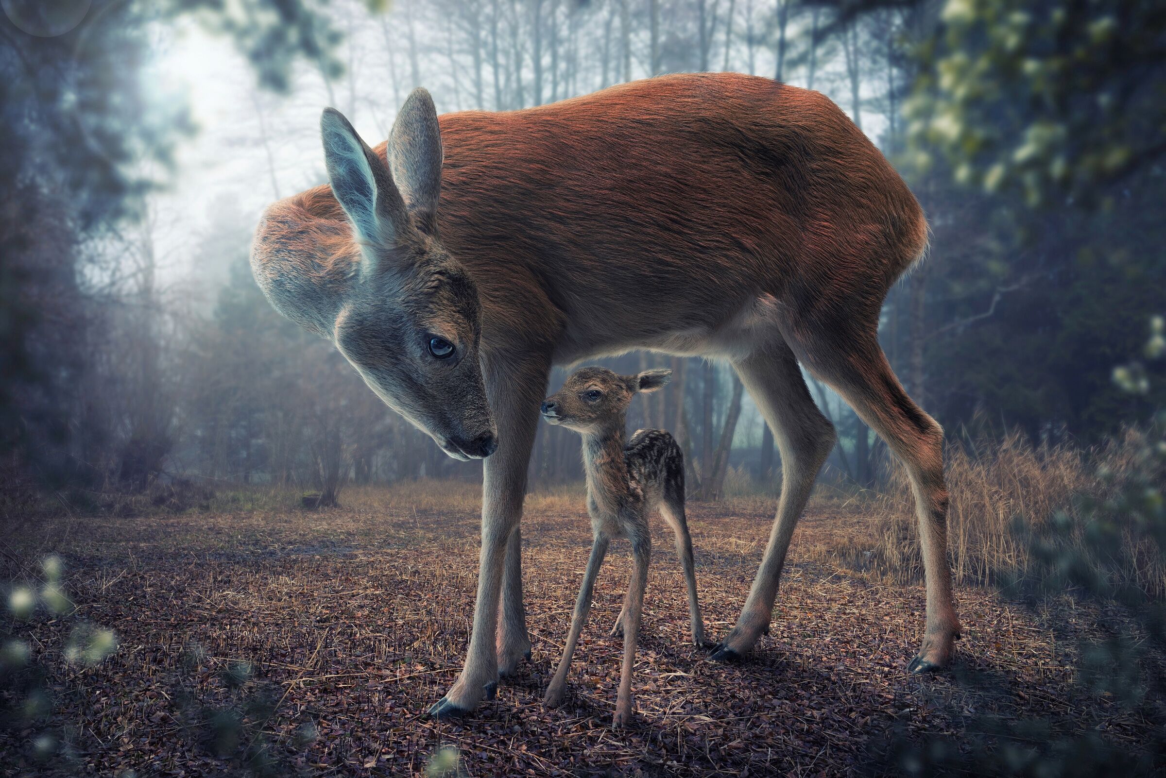Fototapete PAPERMOON "Photo-Art JOHN WILHELM, MUTTER UND KITZ", bunt, B:1,5m L:1,11m, Vlies, Tapeten, Fototapete bunt B/L: 1,5m x 1,11m, Bahnen: 7 Stk.