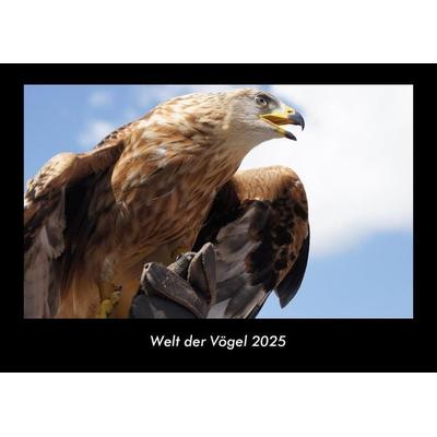 Welt der Vögel 2025 Fotokalender DIN A3