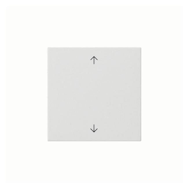 Gira Wippe 1f Pfeile System 55 Reinweiss 538903 (538903)