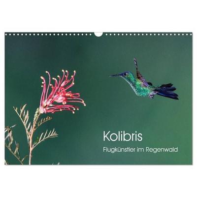 Kolibris - Flugkünstler im Regenwald (Wandkalender 2027 DIN A3 quer), CALVENDO Monatskalender