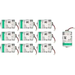 Lithium Batterie 3,6V 1100mAh für Blue Chip 10er-Set