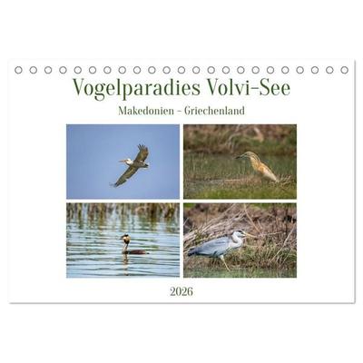 Vogelparadies Volvi-See (Tischkalender 2026 DIN A5 quer), CALVENDO Monatskalender