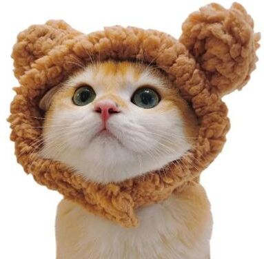 Uplift Essentials Adorable Lion Mane Pet Transformation Cap brown Bear