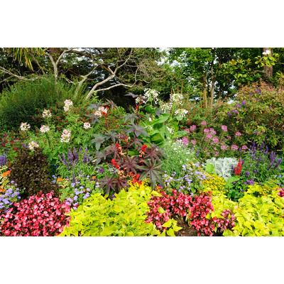 Fototapete PAPERMOON "GARTEN-BÄUME BLUMEN PFLANZEN PARK STEINE WALD BLÜTEN", bunt, B:3,5m L:2,6m, Vlies, Tapeten