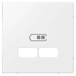 ELSO Joy Zentralplatte für USB Ladestation-Einsatz, reinweiß