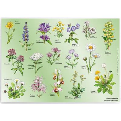 Tischset „Wiesenblumen“