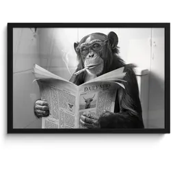 POSTER MIT RAHMEN Affe - WC - Zeitung - Schwarz-Weiß - Humor 60x40 cm