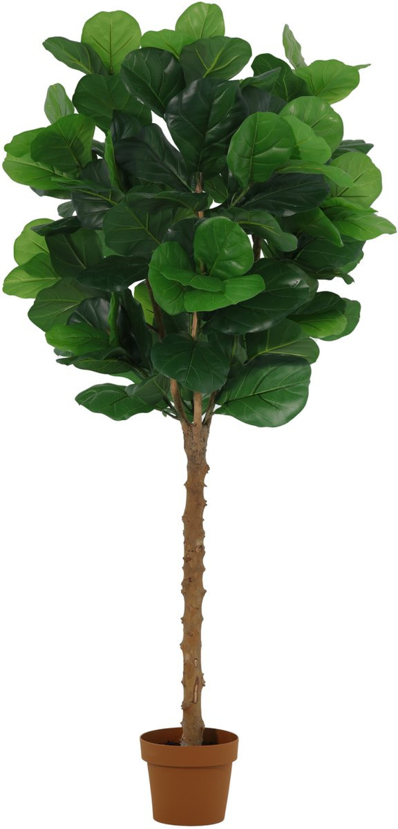 Florafy Kunstplant Ficus Lyrata 160cm - Onderhoudsvrije kunstplant voor binnen