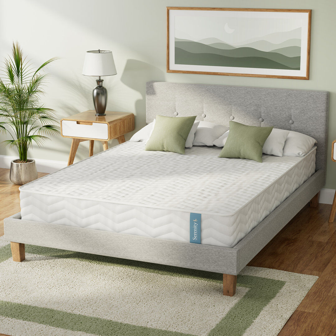 Wayfair Sleep Overly Serenity Coil Spring and Memory Foam Hybrid Mattress 18cm Kingsize (5')