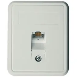 Telegärtner Anschlussdose Cat.6A apws 100023001