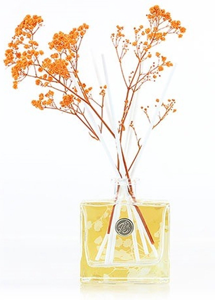 Ashleigh & Burwood Geurstokje Orange Blossom & Mandarin Oranje H 28 cm