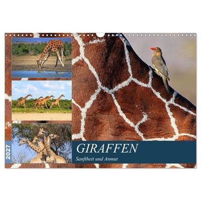 Giraffen - Sanftheit und Anmut (Wandkalender 2027 DIN A3 quer), CALVENDO Monatskalender